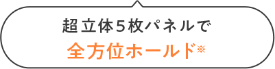 全方位ホールド